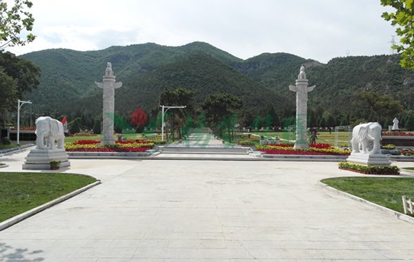 太阳城官网(中国)集团有限公司