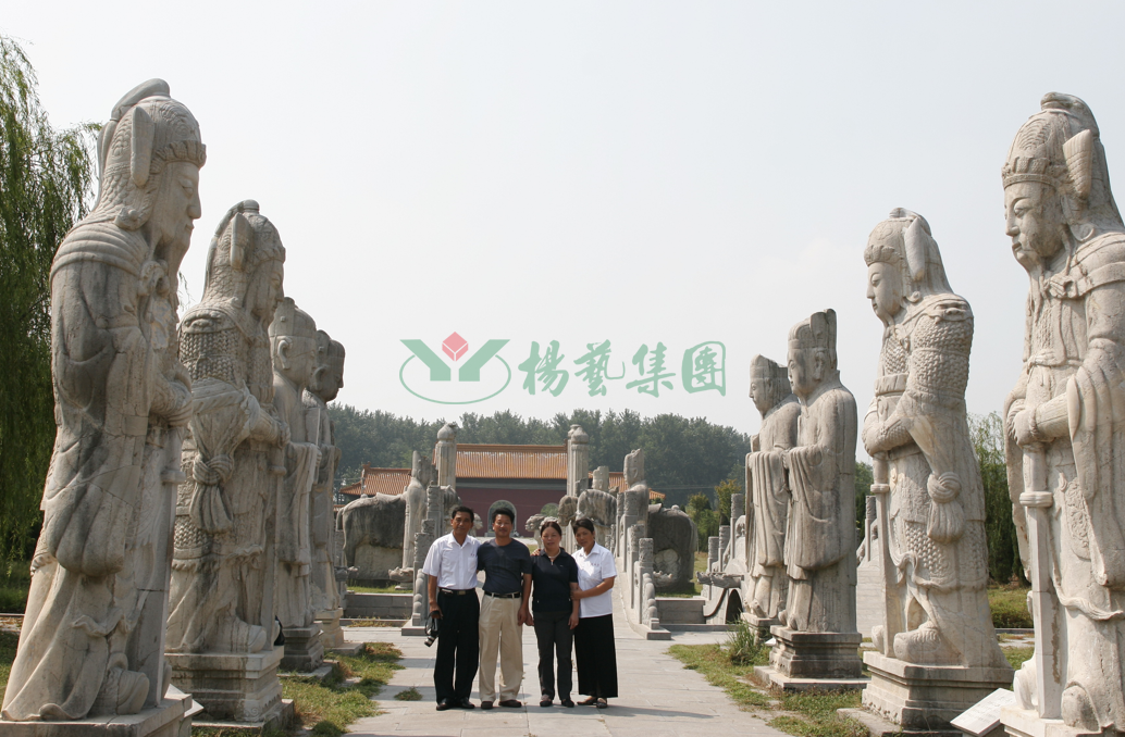 太阳城官网(中国)集团有限公司