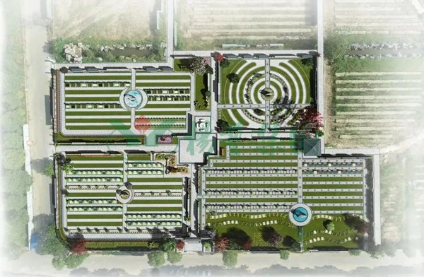 太阳城官网(中国)集团有限公司