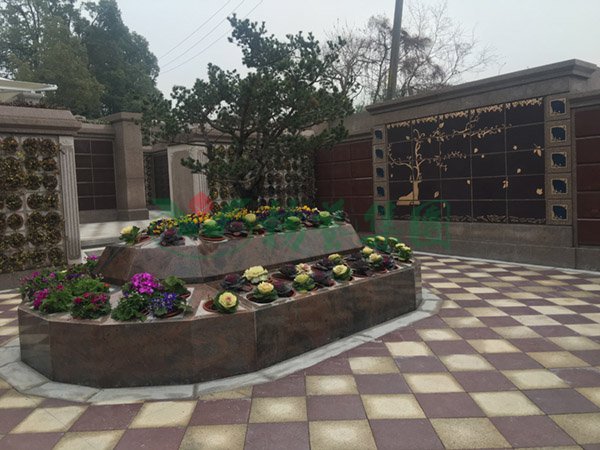 太阳城官网(中国)集团有限公司