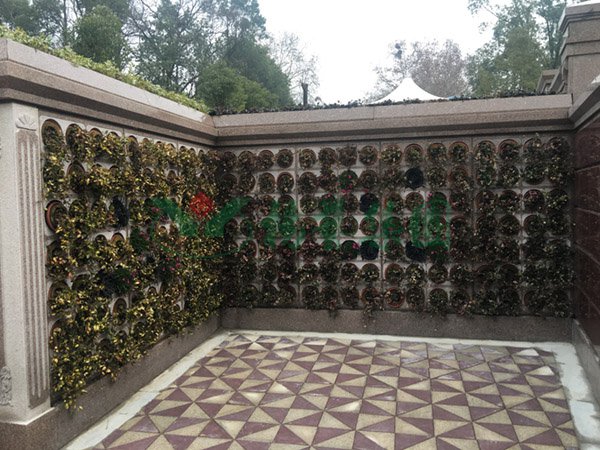 太阳城官网(中国)集团有限公司