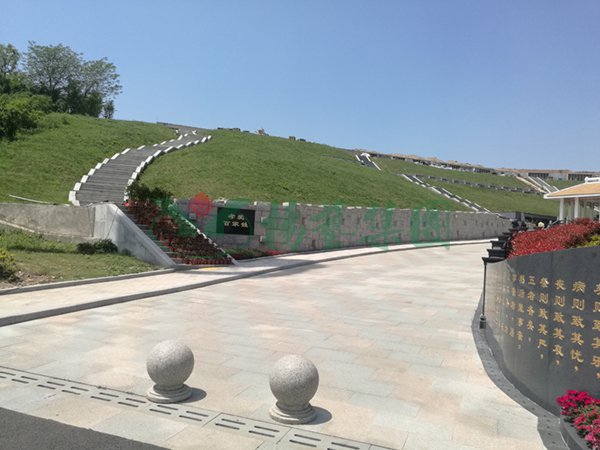 太阳城官网(中国)集团有限公司