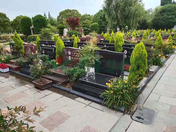 太阳城官网(中国)集团有限公司