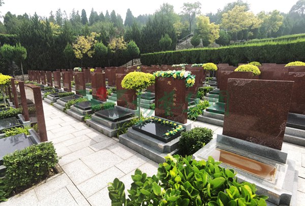 太阳城官网(中国)集团有限公司