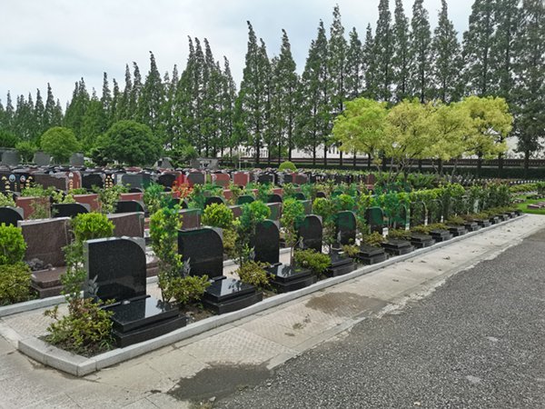 太阳城官网(中国)集团有限公司