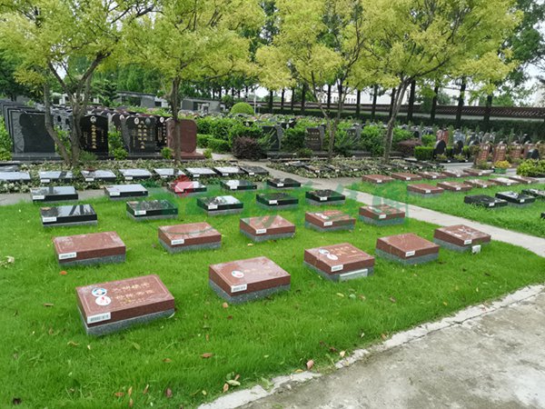 太阳城官网(中国)集团有限公司