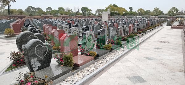 太阳城官网(中国)集团有限公司