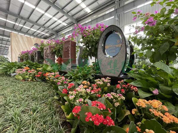 太阳城官网(中国)集团有限公司