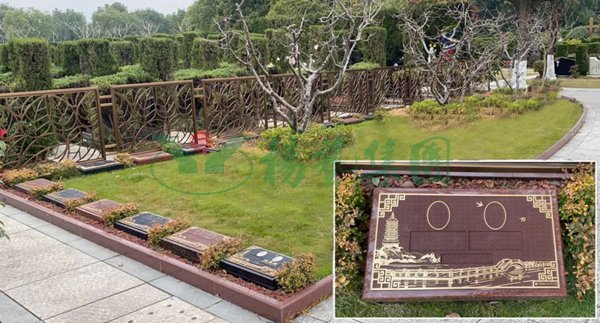 太阳城官网(中国)集团有限公司