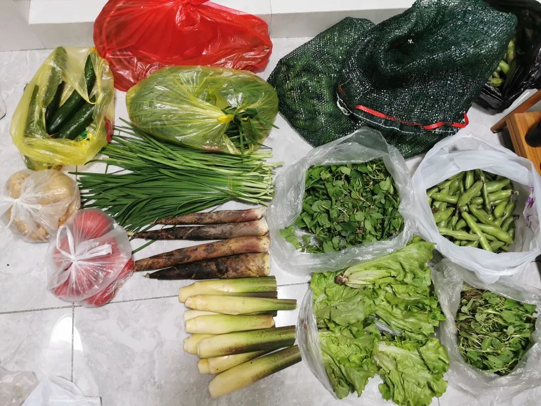 太阳城官网(中国)集团有限公司