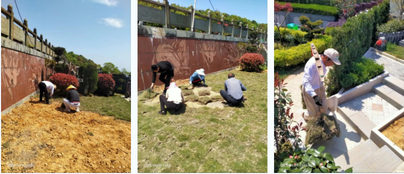 太阳城官网(中国)集团有限公司