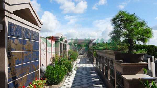 太阳城官网(中国)集团有限公司