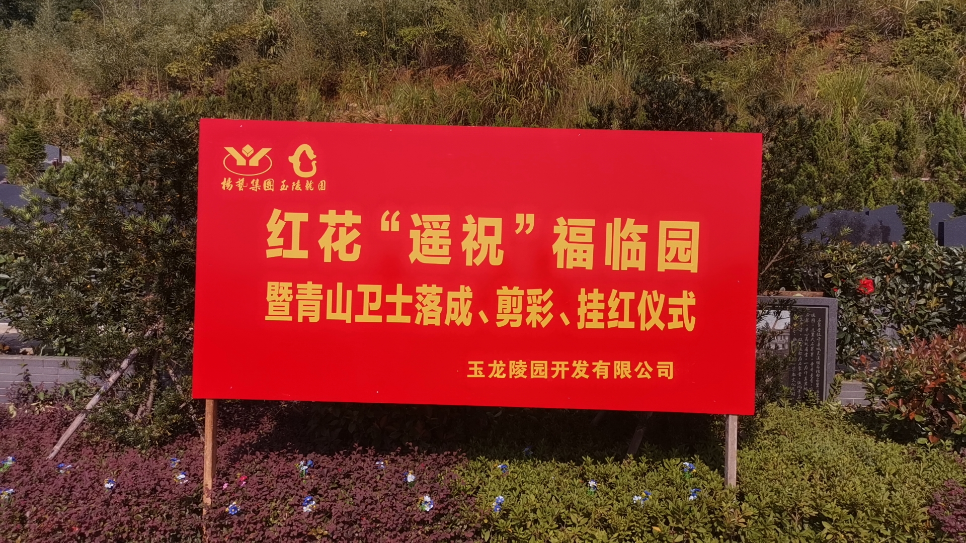 红花传爱意，，，情满玉龙园！