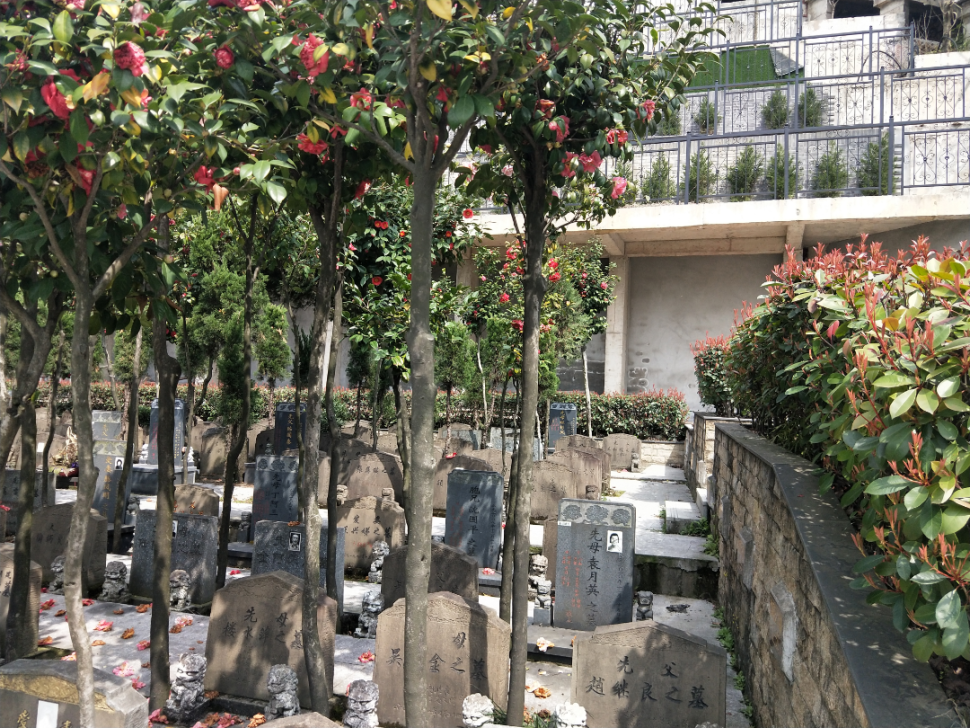 太阳城官网(中国)集团有限公司