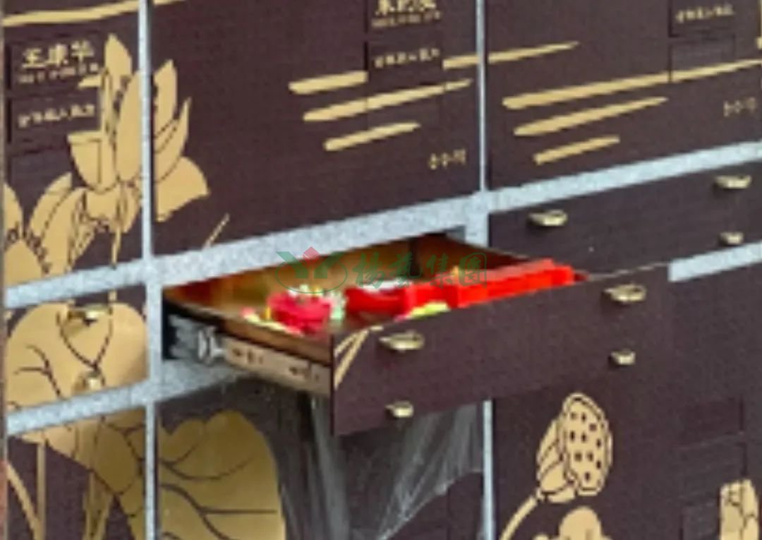 太阳城官网(中国)集团有限公司