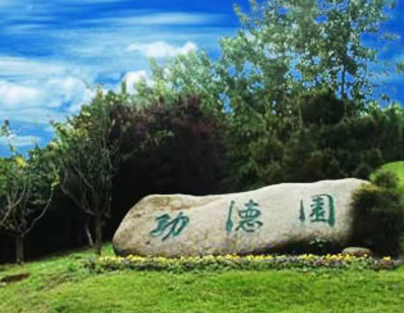 太阳城官网(中国)集团有限公司