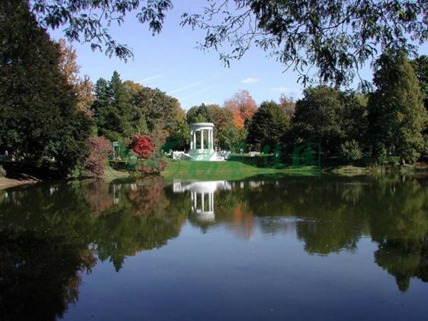 太阳城官网(中国)集团有限公司