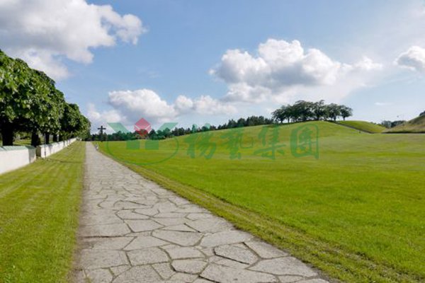 太阳城官网(中国)集团有限公司