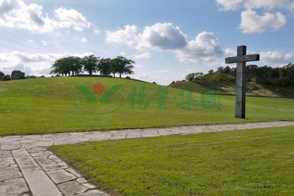 太阳城官网(中国)集团有限公司