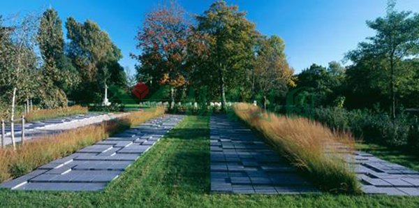 太阳城官网(中国)集团有限公司