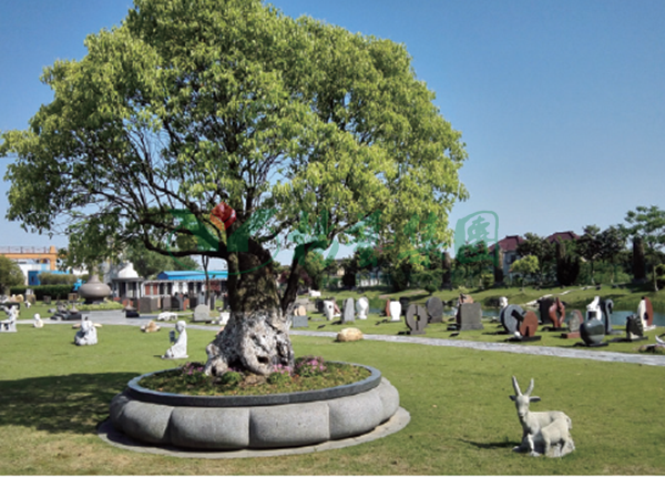 太阳城官网(中国)集团有限公司