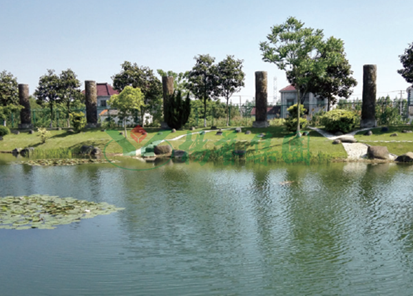 太阳城官网(中国)集团有限公司