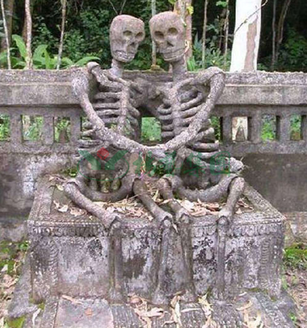 太阳城官网(中国)集团有限公司