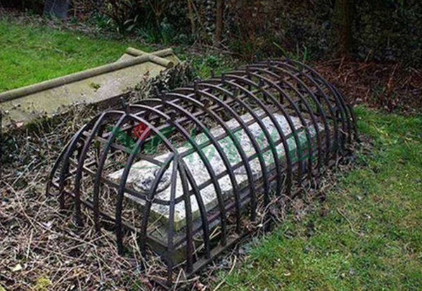 太阳城官网(中国)集团有限公司