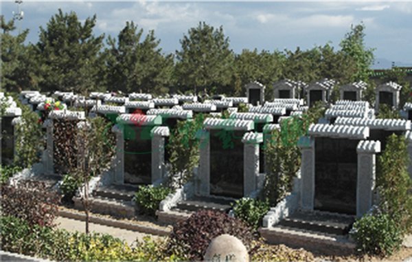 太阳城官网(中国)集团有限公司