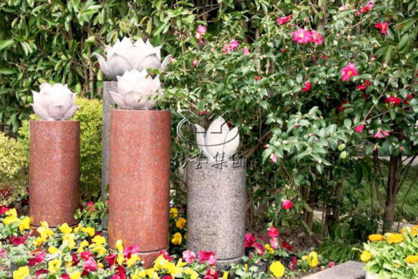 太阳城官网(中国)集团有限公司