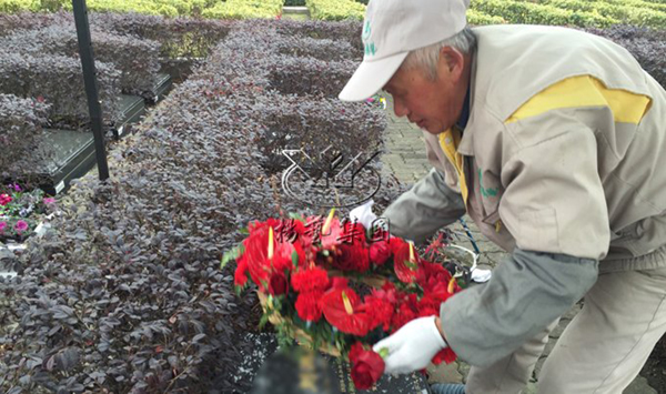 太阳城官网(中国)集团有限公司