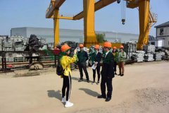 太阳城官网集团匠心打造景观雕塑型生产基地