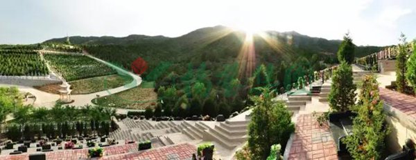 太阳城官网(中国)集团有限公司