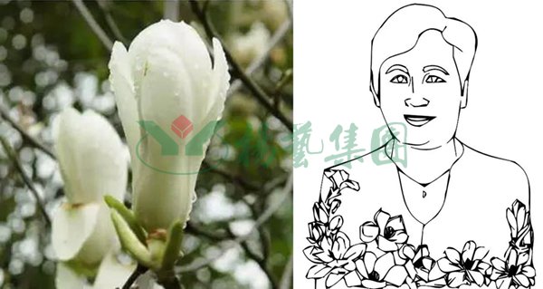 太阳城官网(中国)集团有限公司