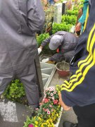 【太阳城官网人别样清明】2018年清明落葬事情圆满完成