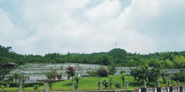 太阳城官网(中国)集团有限公司