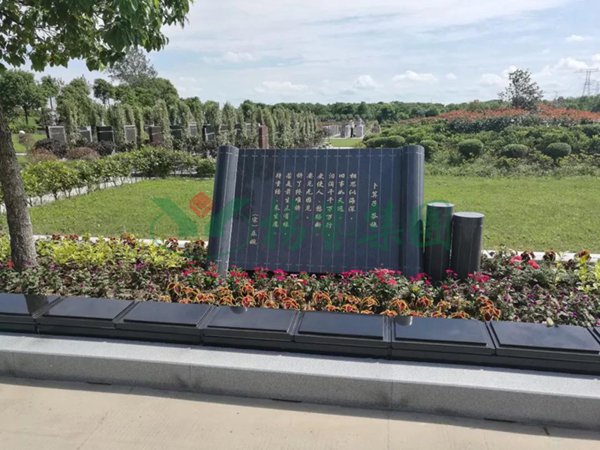 太阳城官网(中国)集团有限公司