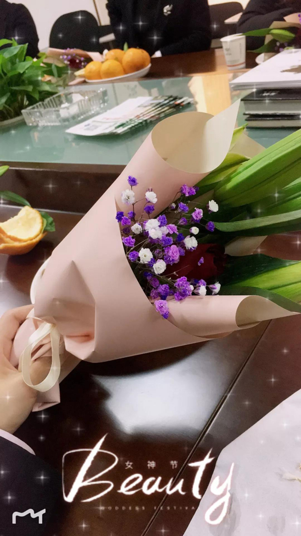 太阳城官网(中国)集团有限公司