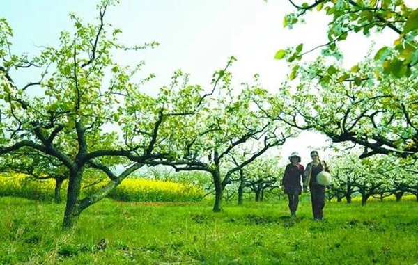 太阳城官网(中国)集团有限公司