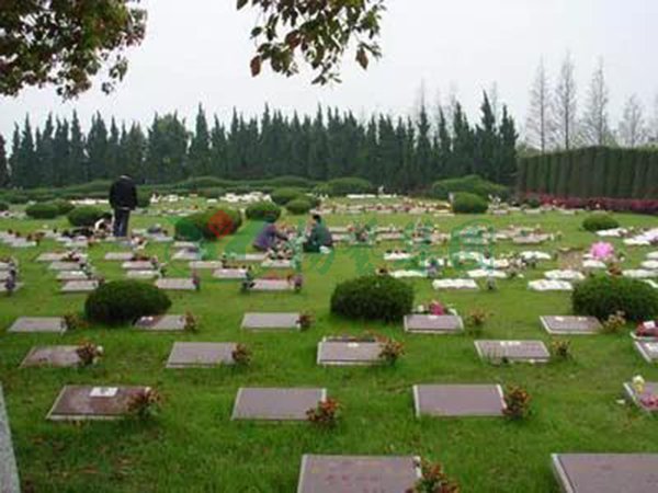 太阳城官网(中国)集团有限公司