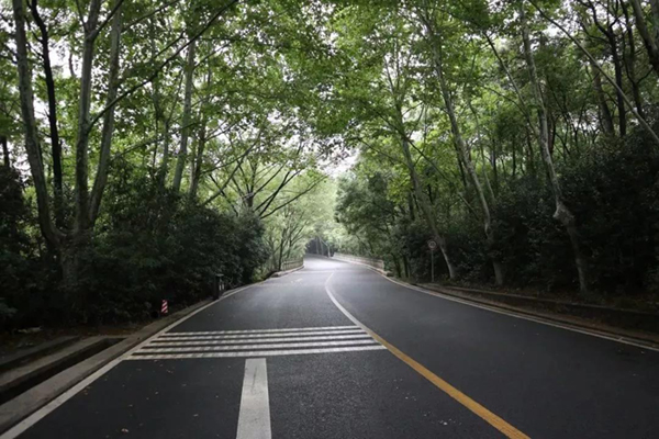 太阳城官网(中国)集团有限公司