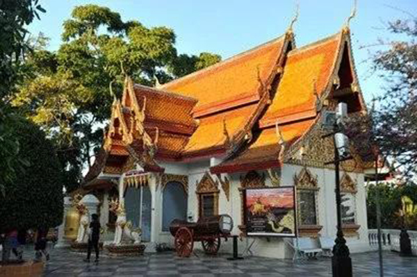 太阳城官网(中国)集团有限公司