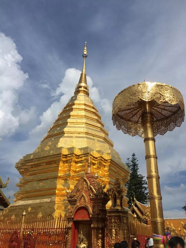 太阳城官网(中国)集团有限公司