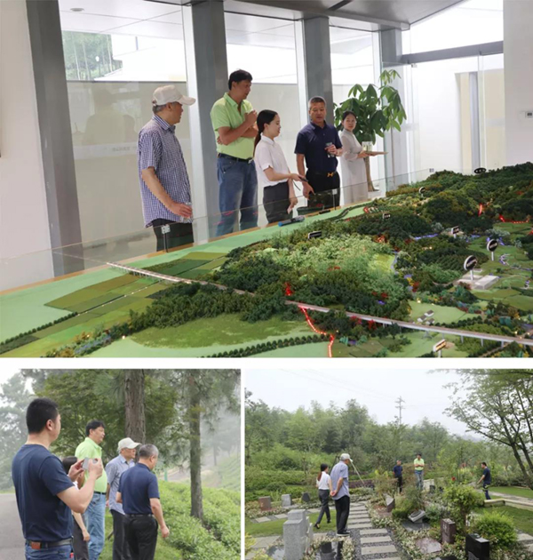 太阳城官网(中国)集团有限公司