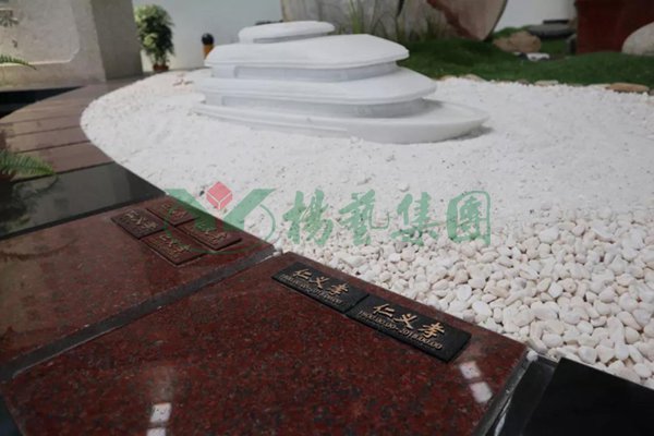 太阳城官网(中国)集团有限公司