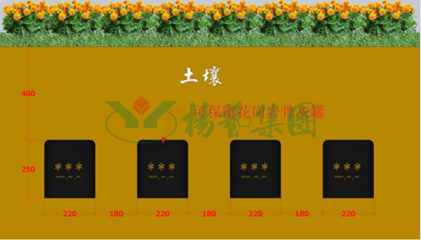 太阳城官网(中国)集团有限公司