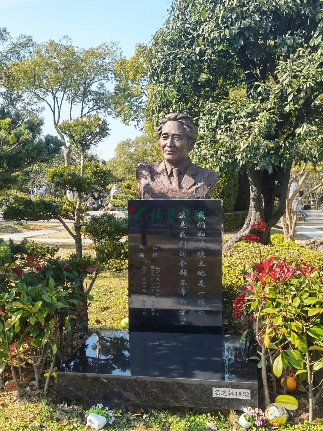 太阳城官网(中国)集团有限公司