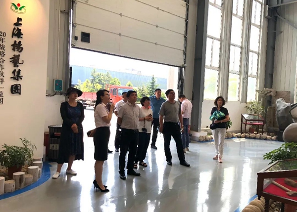 太阳城官网(中国)集团有限公司