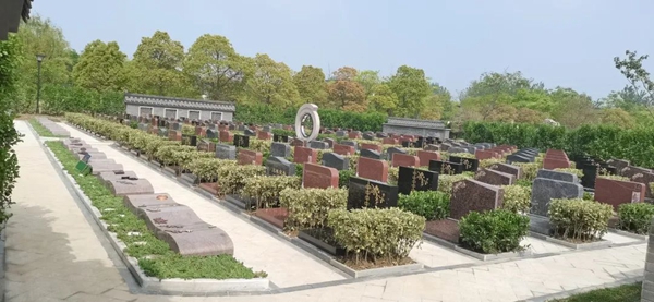 太阳城官网(中国)集团有限公司