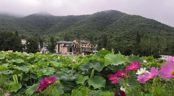 太阳城官网(中国)集团有限公司